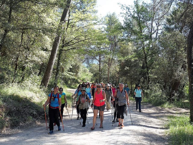 Excursions de Marxa Nòrdica