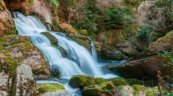 Excursió organitzada a l'Alt Llobregat