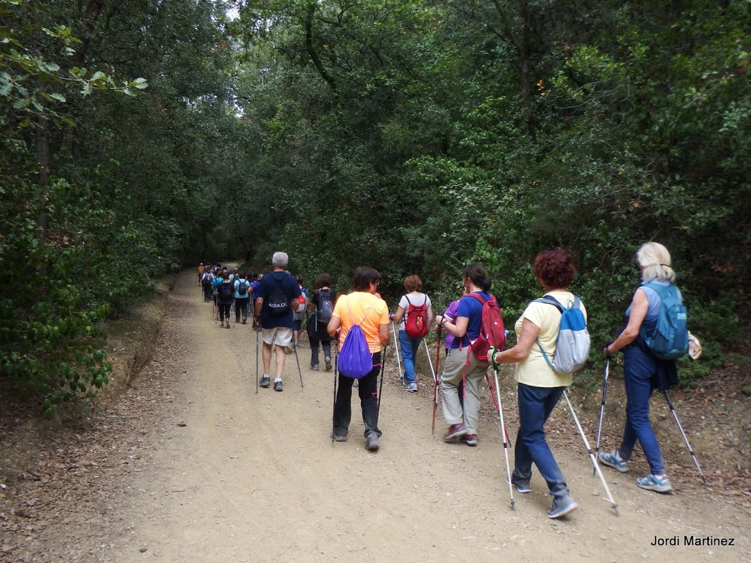 marxa nòrdica sant cugat