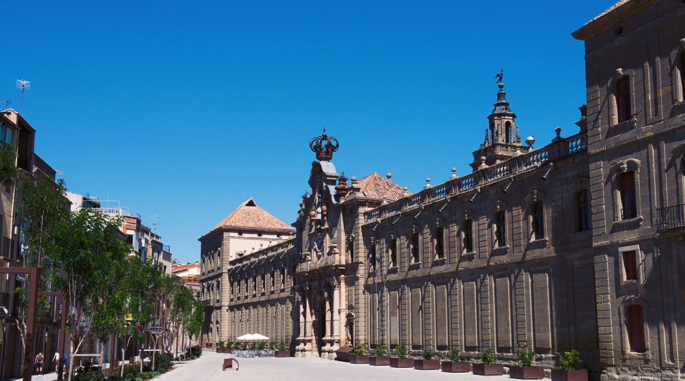 Excursió organitzada a Guissona