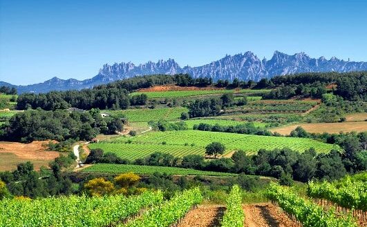 Marxa Nòrdica a l'Alt Penedès