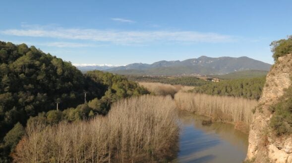 De Crespià a Pedrinyà