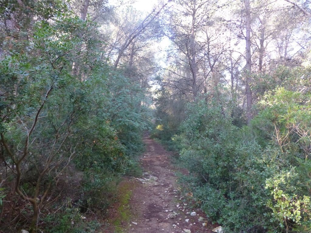 Excursió de Marxa Nòrdica a la Font d'Horta