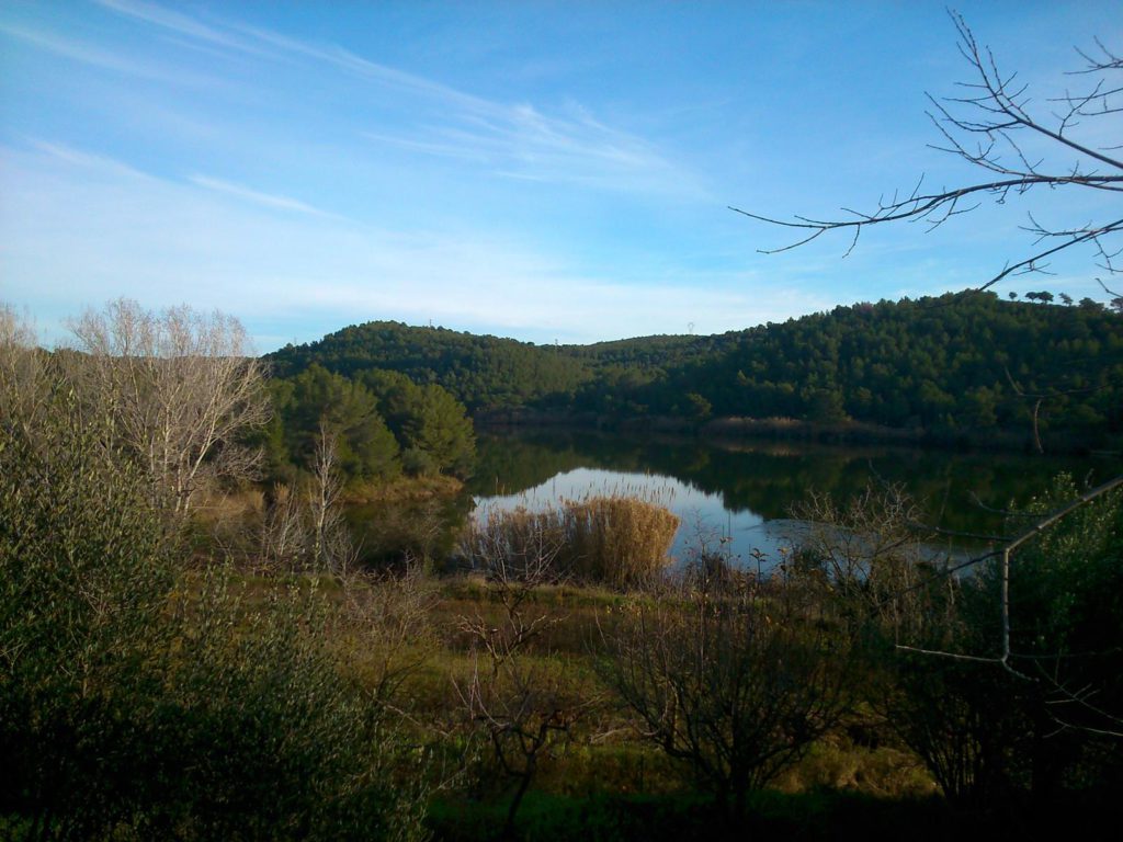 Excursió de Marxa Nòrdica a la Font d'Horta