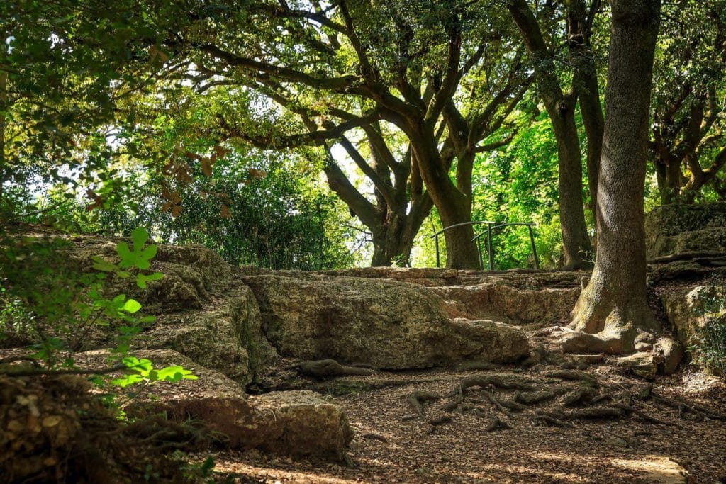 Excursió de Marxa Nòrdica a Sant Hilari de Sacalm