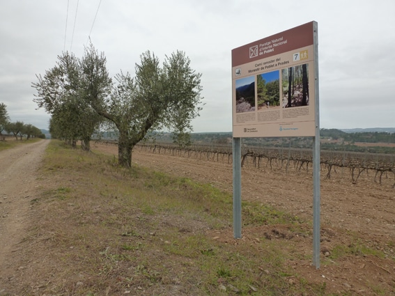 El Camí Ramader de Poblet