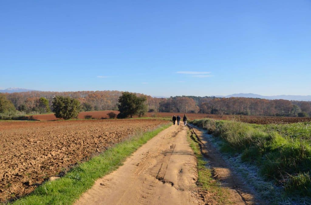 Excursió de Marxa Nòrdica