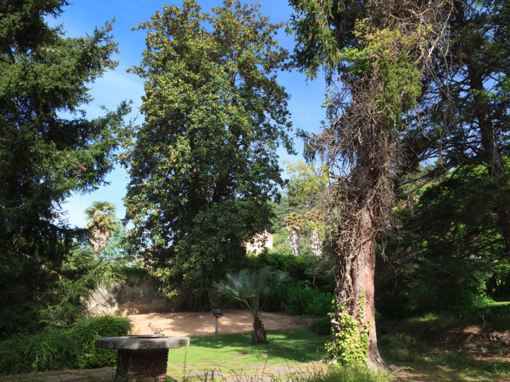 Els Jardins del Roquer Arbúcies - Centre Europeu