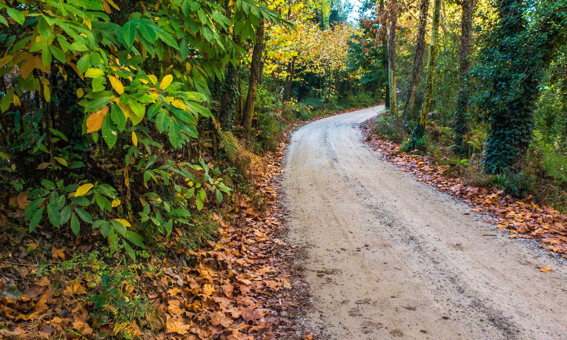 Excursió de Marxa Nòrdica al Parc del Corredor i el Montnegre