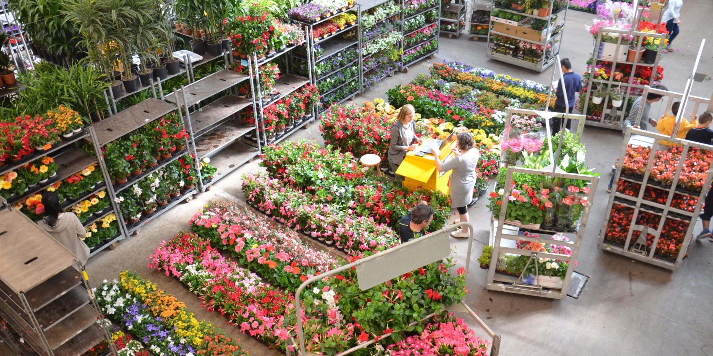 El Mercat de la Flor - Centre Europeu