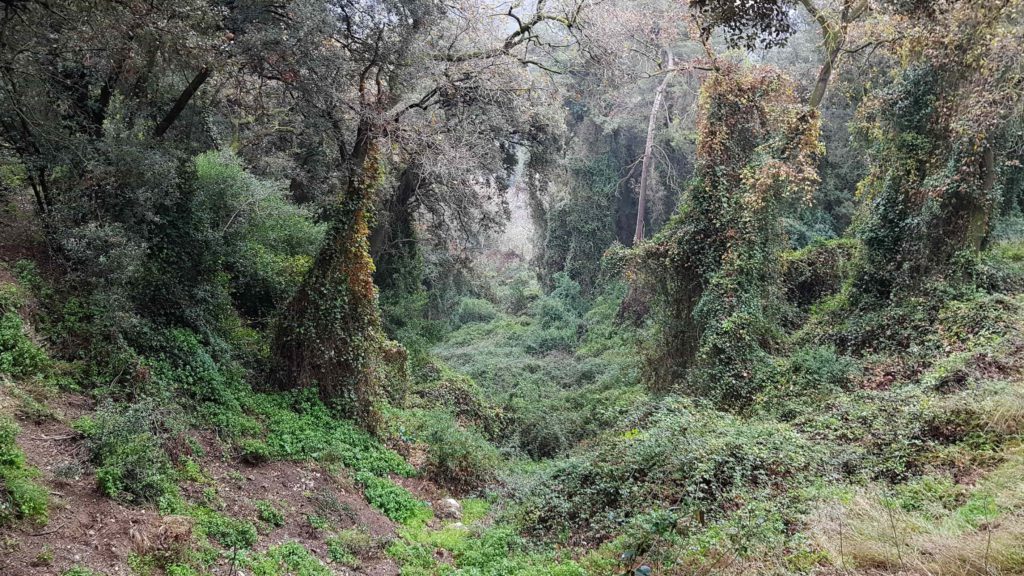 excursió senderisme OLORDA