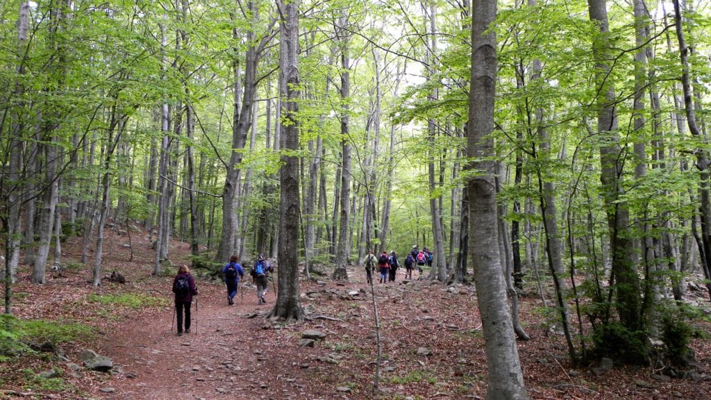 Senderisme ST FE MONTSENY