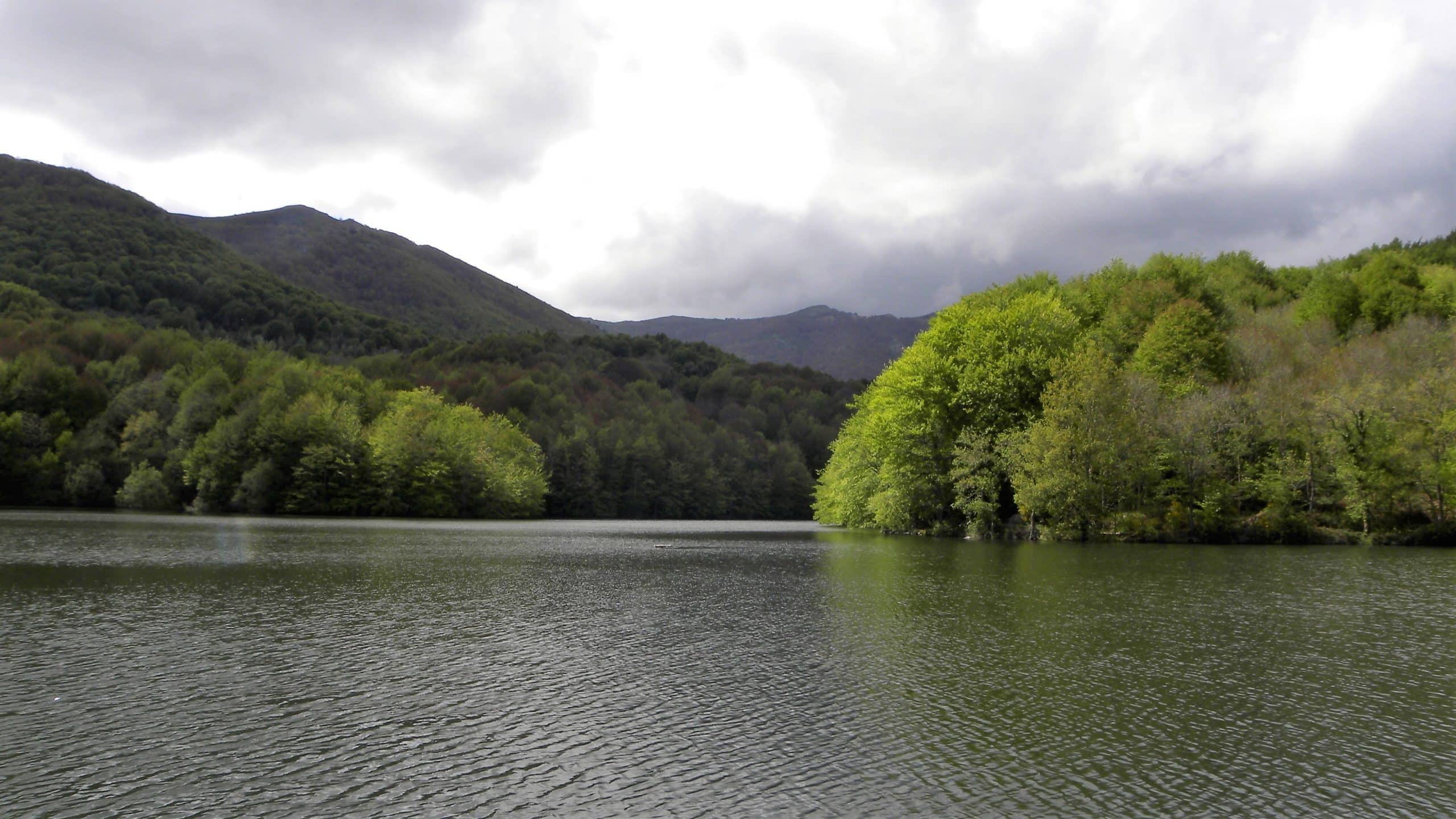 Senderisme ST FE MONTSENY