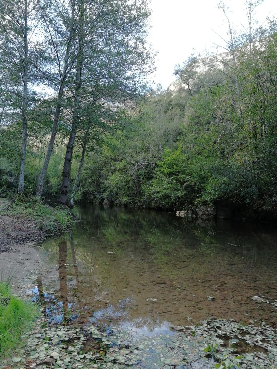 Excursió de Marxa Nòrdica a Oix i la Vall d