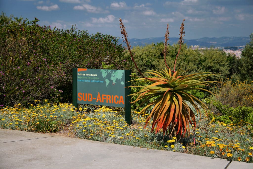 El Jardí Botànic de Barcelona