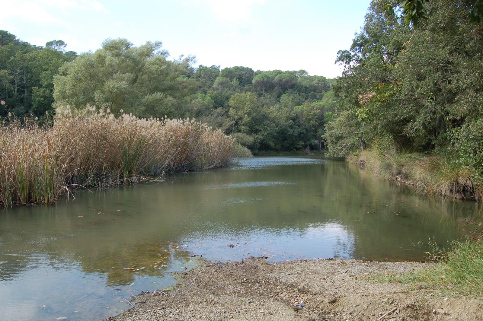 La Ruta dels Estanys d'en Llobet a Vidreres