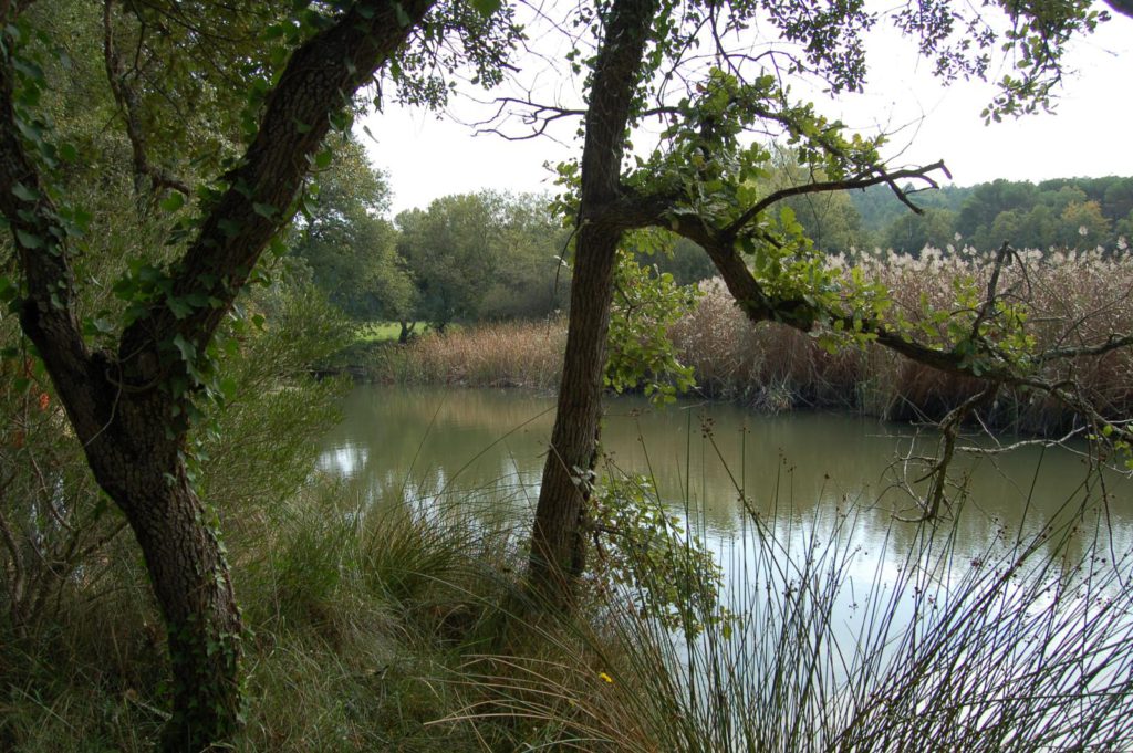 Ruta als Estanys d'en Llobet