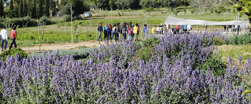 Parc Olors Santa Eulàlia de Ronçana