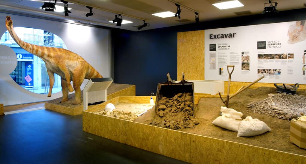 Visita a l'Institut Català de Paleontologia de Sabadell