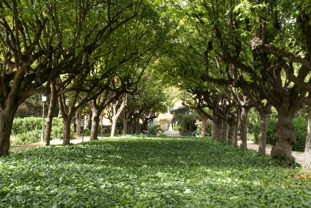 Descobrint els Jardins del Palau de Pedralbes