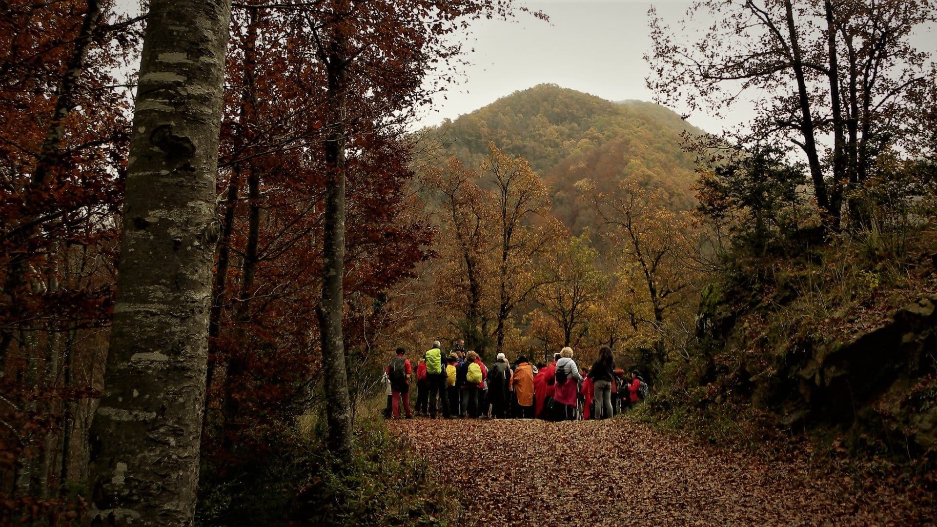 Senderisme a la Vall del Ges