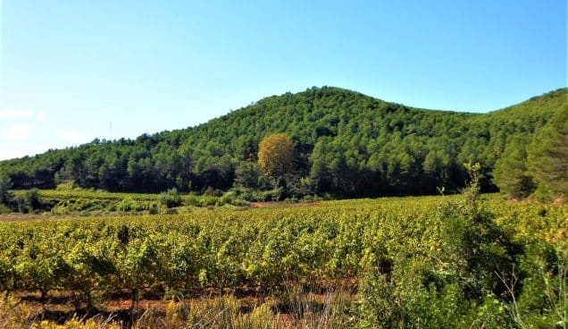 La Serra del Bolet