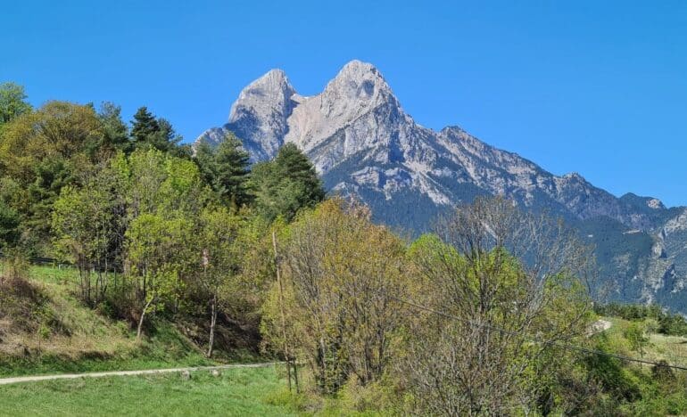 Excursió en grup a Tulipmania