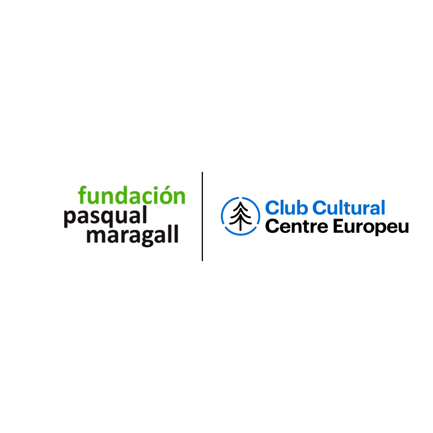Col·laboració amb la Fundació Pasqual Maragall - centre europeu