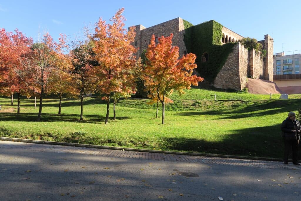 Terrassa: Tardor al Parc de Vallparadís – 29/10/2025 – 9h