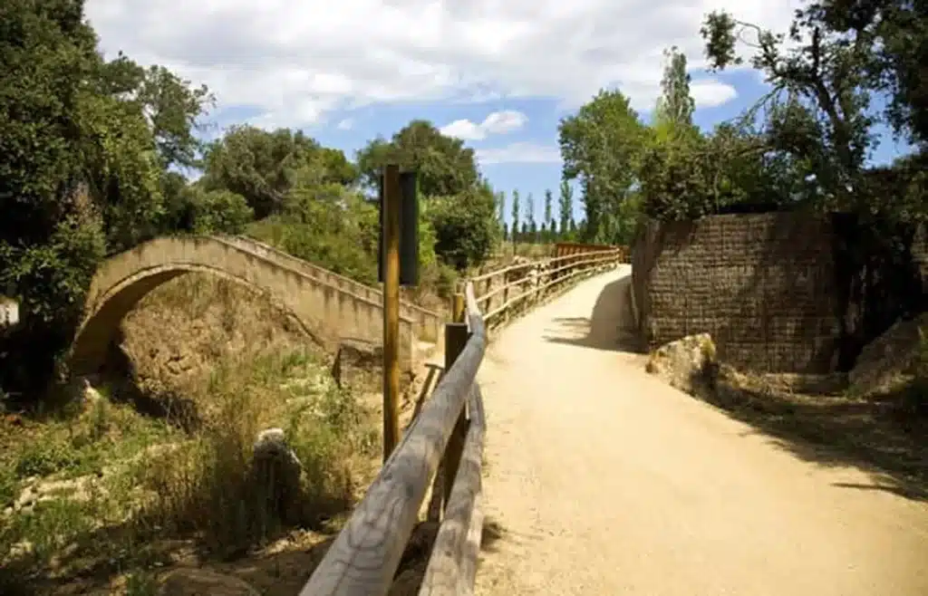 Caminada Saludable al Tren Petit de Palafrugell – 18/01/26 – 8h