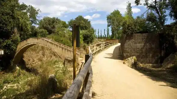 Ruta Tren Petit a Palafrugell - Centre Europeu