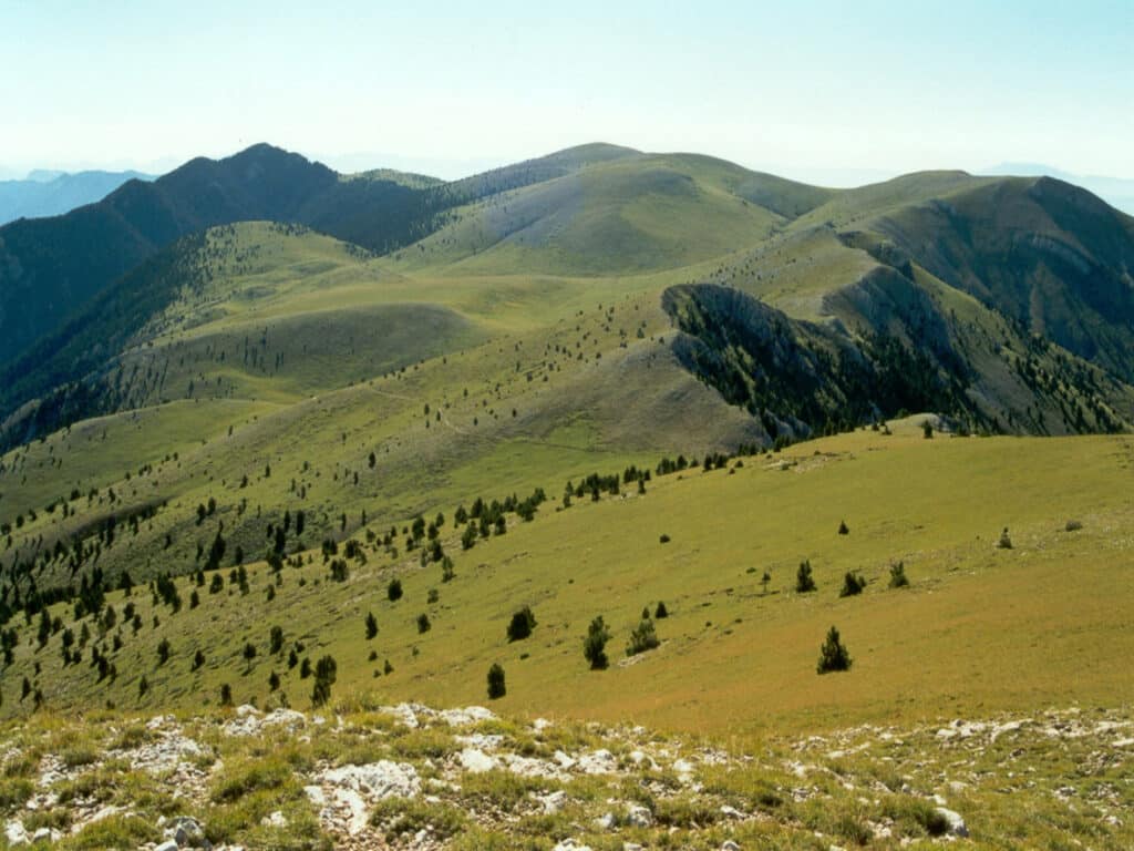 Natura al Berguedà i els Rasos de Peguera – 09/05/26 – 8h
