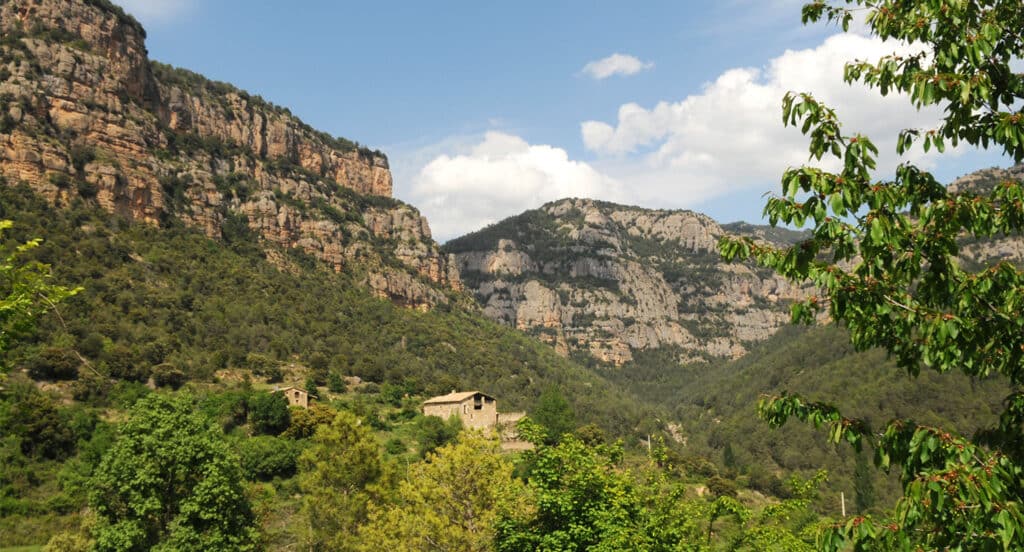 Natura al Solsonès: La Vall d’Ora i Sant Pere de Graudescales – 06/06/2026 – 8h