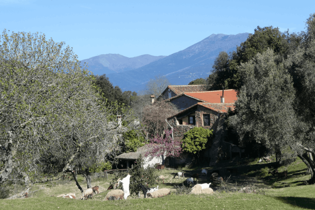 Natura al Parc Natural del Montnegre i Corredor – 16/09/2026 – 10h